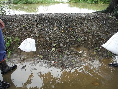 居倉地内の水路の漏水状況の画像