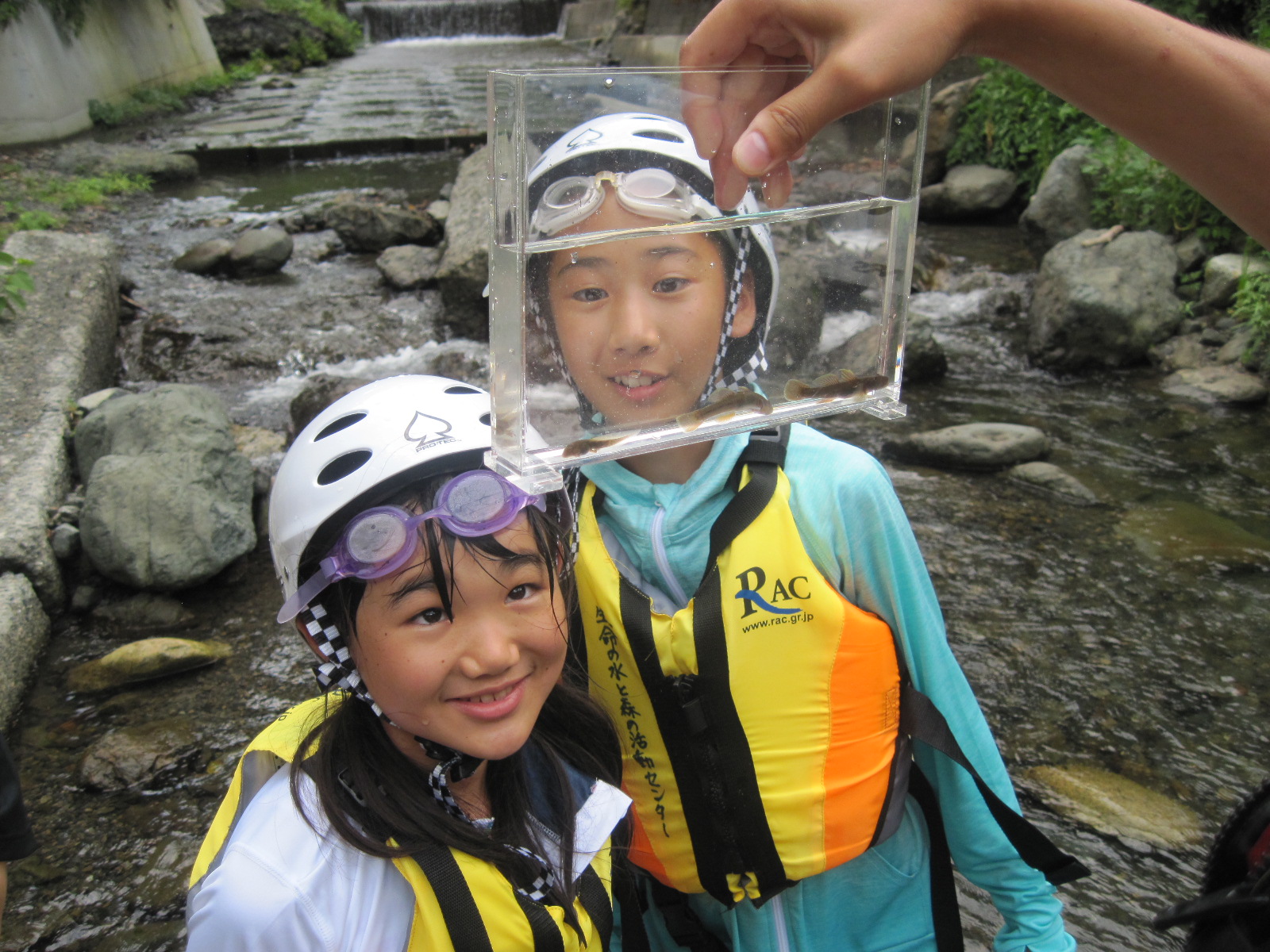 水生生物観察の様子