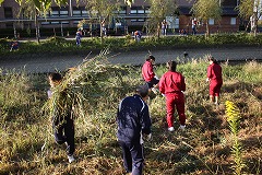 中学生が草むしりをする写真
