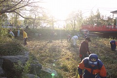 川の周りの草むしりをする写真