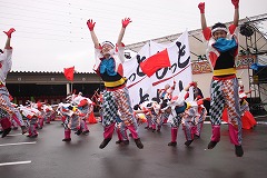 よさこいダンスの写真 よさこいダンスの写真