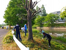 川辺の雑草をとる人々の写真