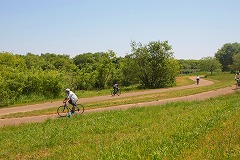 緑豊かなルートで自転車に乗る来場者の写真