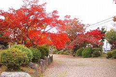 小簾紅園の写真