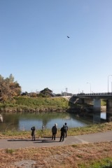 野鳥を見上げる参加者ら