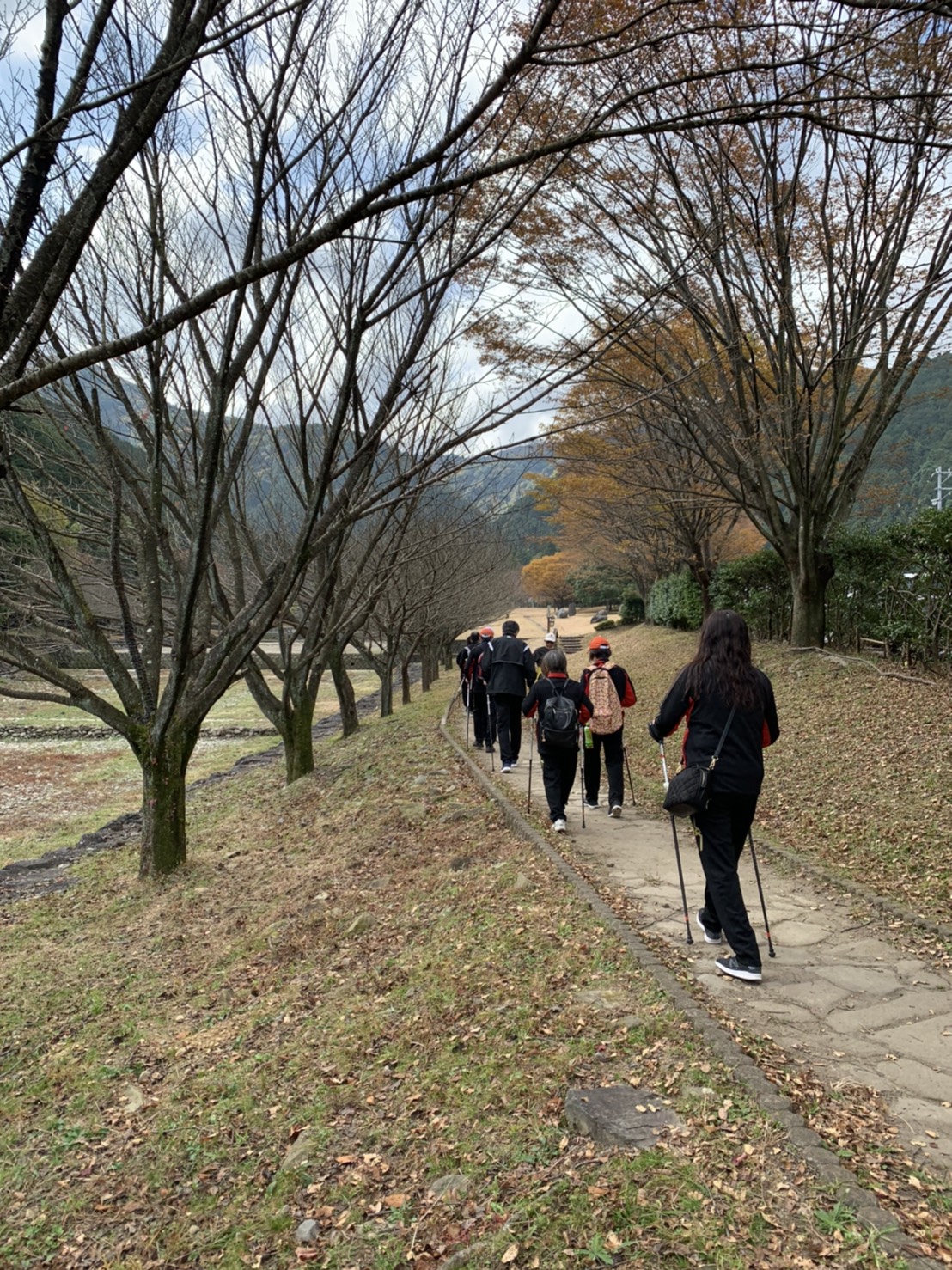 ウォーキング教室