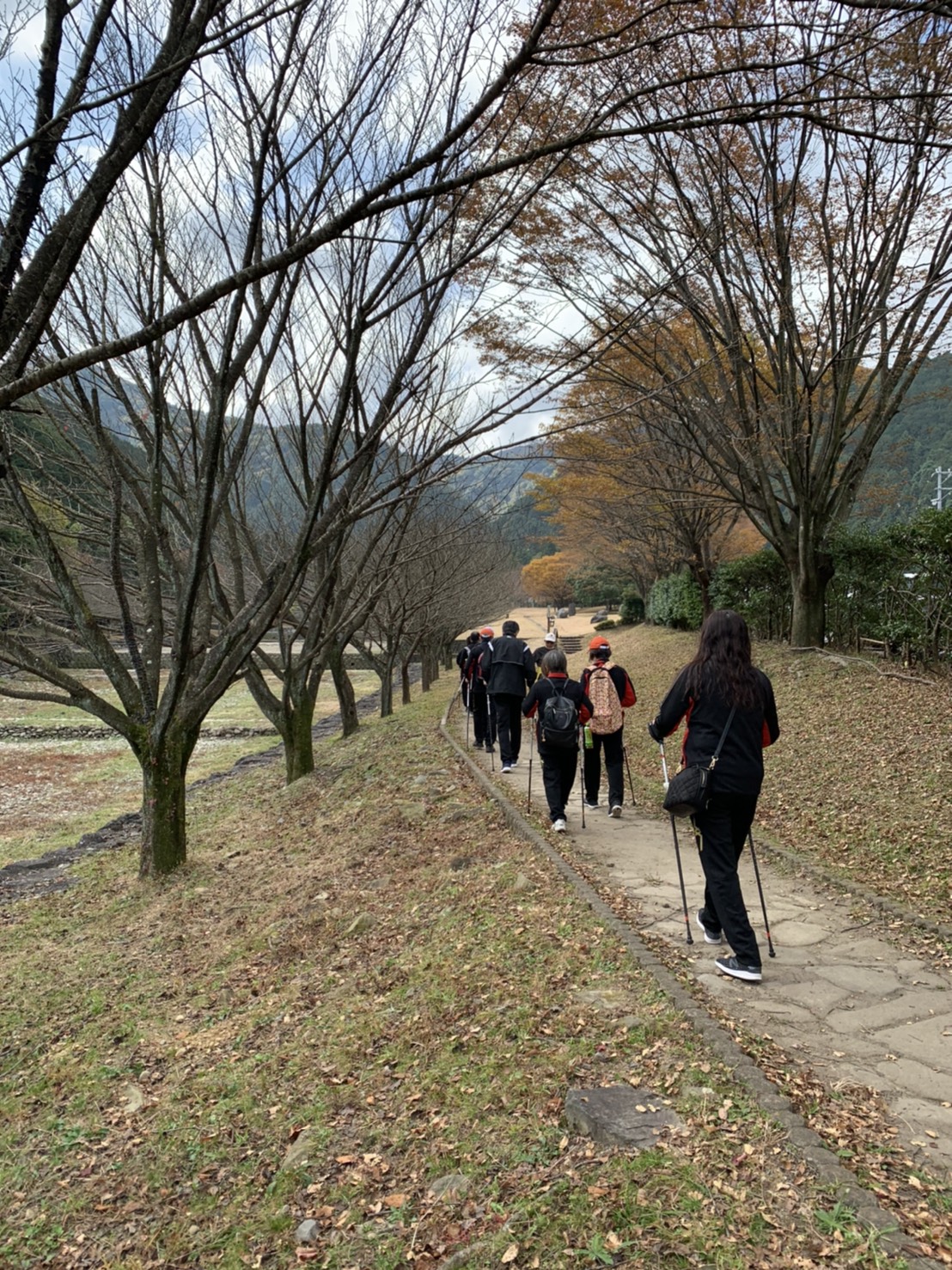 ウォーキング教室