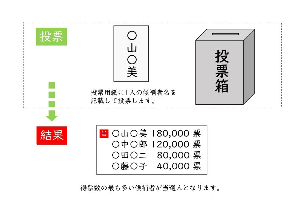 小選挙区投票方法