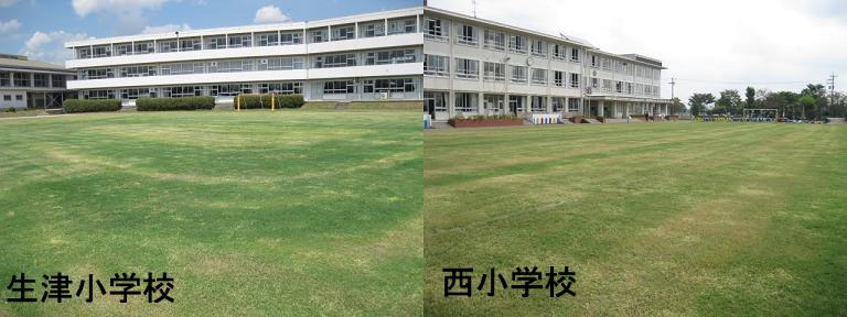 左に生津小学校の芝生、右に西小学校の芝生