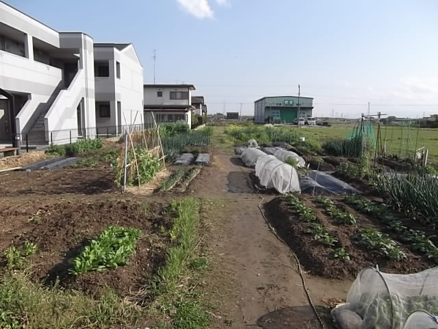 祖父江農園の画像