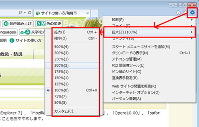 IEの表示メニュー