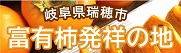 富有柿発祥の地瑞穂市