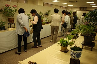 アジサイを見学する来場者の写真 アジサイを見学する来場者の写真