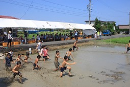 田んぼを駆け巡る子供たち